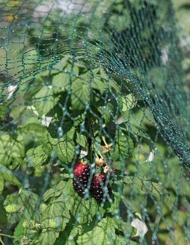 Red para pájaros, 138217; x 168217;: Amazon.es: Jardín