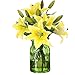 RERXN Artificial Tiger Lily Latex Real Touch Flower Home Wedding Party Decor,Pack of 5 (Yellow)