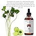 Laritelle Organic Hair Loss Treatment for Men and Women | Fortifying, Strengthening and Follicle Rejuvenating | Stops Hair Shedding, Promotes New Hair Growth | GMO-free. Vegan | 4 oz