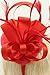 FELIZHOUSE Fascinator Hats Hat Tea Party Feather Hair Clip Bridal Headpieces Ascot Headband for Women (Red)