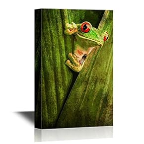 Canvas Wall Art - Curious Red Eyed Tree Frog Hiding in Green Background Leafs - Gallery Wrap Modern Home Art | Ready to Hang - 12x18 inches