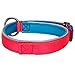 Blueberry Pet Collars 5/8