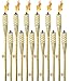 Matney Bamboo Torches - Includes Metal Oil Canisters with Covers to Extinguish Flame - Great for Outdoor Decorating, Luau, Parties, Extra Long 60 Inches (12 Pack) primary