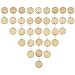 Bememo 100 Pieces 1.5 Inch Wooden Round Tag with Hole and 50 Pieces Stainless Steel S Shaped Hooks for Family Board Chore DIY