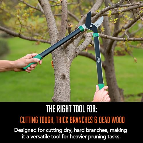 Scotts 21 in. Anvil Lopper – Heavy-Duty Branch Cutter with Teflon-Coated Carbon photo 7