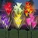 Sorbus LED Flower Light Lily Stakes, 2 Pack Solar Multi-Color Changing 8 LED Outdoor Garden Flowers,Lawn, Garden, Patio, Night Lighting, Path Walkway, Gravestone, Wedding (2 Purple Color Changing)