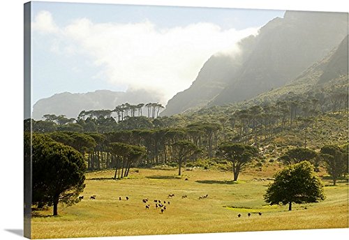 Canvas On Demand Premium Thick-Wrap Canvas Wall Art Print entitled South African landscape