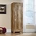 Sauder Adept Storage Narrow Storage Cabinet/ Pantry Cabinet, Craftsman Oak finish