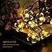 WishWorld 50LED Solar String Lights, 23ft 8Modes Warm White Waterproof Blossom Flower Lights Decorative Lighting for Garden, Outdoor, Patio, Lawn and Holiady Decorations