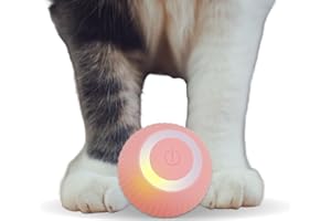 Found Notice Smart Cat Toy, Gravity Smart Roller Ball, Interactive Cat Toys for Indoor,Automatic Pet Exercise Toys,Poofplay Balls, Cats Stuff Automatic Cat Toy as Cat Gifts,Type-C