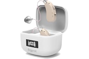 BIGPROT Hearing Aids Rechargeable for Seniors, Lightweight Hearing Amplifiers for Adults Hearing Loss with Noise Cancelling,Portable Behind-the-Ear Hearing Aid Headphones Charging Case Stepless Volume Control