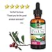 Nature's Answer Uva Ursi Leaf with Low Organic Alcohol 2 Fluid Ounces | Gluten-Free | Non-GMO | Vegan | No Artificial Flavors or Preservatives | Single Count