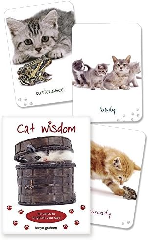 Cat Wisdom Cards