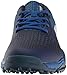adidas Men's Adipower s Boost 3 Croyal Golf Shoe