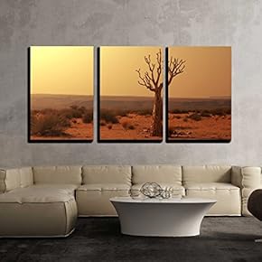 3 Piece Canvas Wall Art - Dead Valley in Namibia - Modern Home Art Stretched and Framed Ready to Hang - 16"x24"x3 Panels
