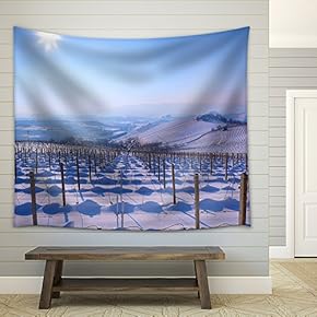 View on Vineyards on Snowy Hills Under Clear Blue Sky with Shining Sun - Fabric Wall Tapestry Home Decor - 51x60 inches