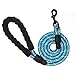 10 FT Strong Dog Leash Extra Heavy Duty Rock Climbing Rope Comfortable Padded Handle Highly Reflective Threads for Small Medium Large Dogs, 1/2 inch Diameter (Blue)