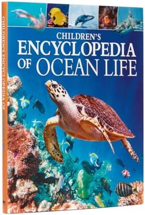 Red Sea Diver's Guide: Cohen, Shlomo: 9780932200006: Amazon.com: Books