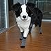Dog Socks Traction Control Anti-Slip for Hardwood Floor Indoor Wear, Paw Protection Grey
