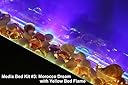 Thumbnail 30