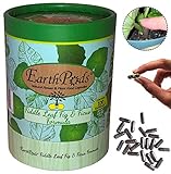 EarthPods Ficus + Fiddle Leaf Fig Tree Fertilizer [Premium] - Easy Organic Plant Food Spikes - 100 Capsules - Enhance Color, Root + Foliar Growth (Also Great on Monstera, Dracaena, Pothos, Calathea)