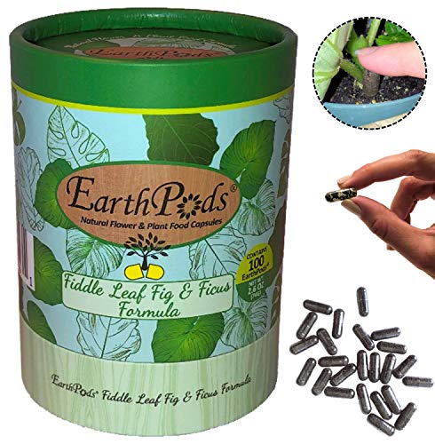EarthPods Ficus + Fiddle Leaf Fig Tree Fertilizer [Premium] - Easy Organic Plant Food Spikes - 100 Capsules - Enhance Color, Root + Foliar Growth (Also Great on Monstera, Dracaena, Pothos, Calathea)