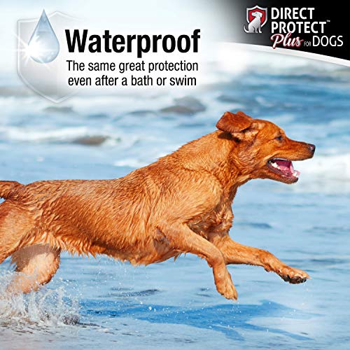 Direct Protect Plus Flea & Tick Collars for Dogs & Puppies - Thumbnail 6
