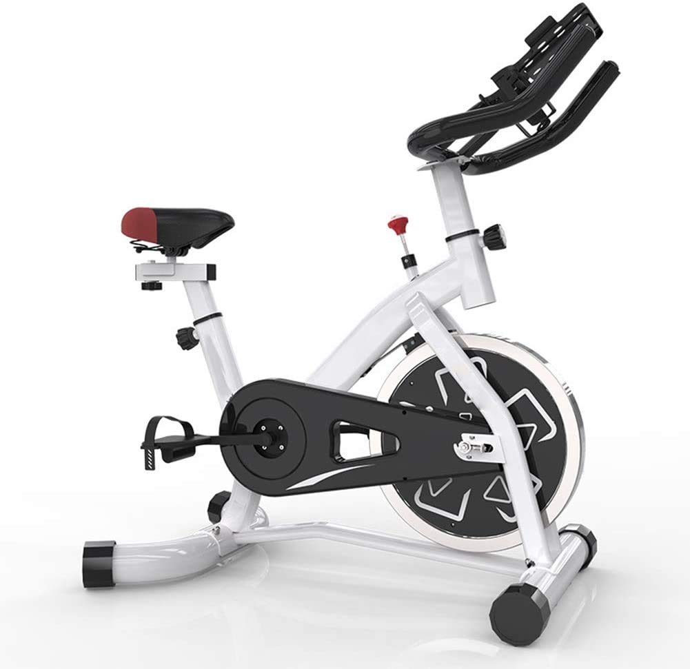 exercise bike daily