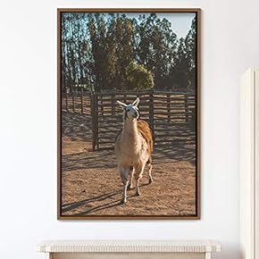 signwin Framed Canvas Wall Art Llama Animals Camels...