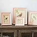 Lilian Pc Pink Desktop Photo Frames(4 X 6in) Pink .Choose Ps Polymer Material Environmental Protection