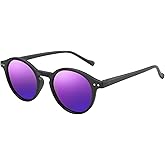 ZENOTTIC Polarized Round Sunglasses, Stylish Sunglasses for Men and Women Retro Classic, Multi-Style Selection