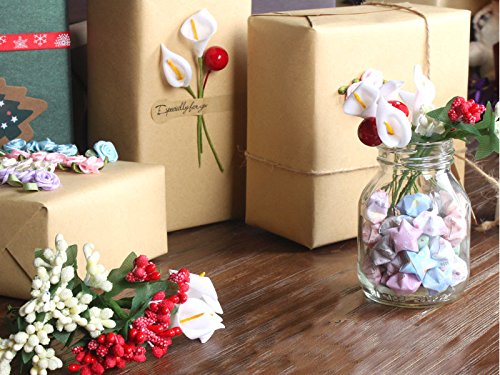 image for Supla 12 bouquets Pip Berry Stems Pip Berries Berry Stamen Pip Berry W