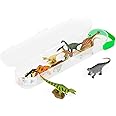 Collecta Box of Mini Dinosaurs 2 - Clear Plastic Tube Includes 10 Mini Dino Replicas