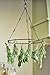 Gardener's Supply Company Hanging Herb Drying Rack | Sturdy Metal Ring Hanger for Herbs Flowers and Vegetables with 6 Hooks | 18