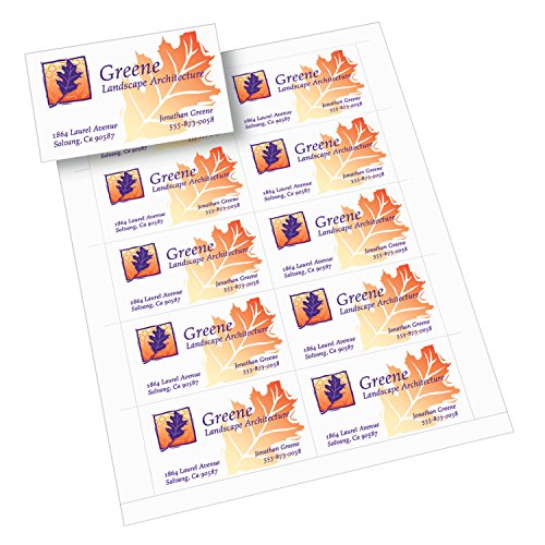 website template image