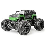 Gizmovine Mud Monster Pickup Remote Control RC Truck RC Car 1:16 Scale Rechargeable w/Mud Splatter Paint Job Green&Black