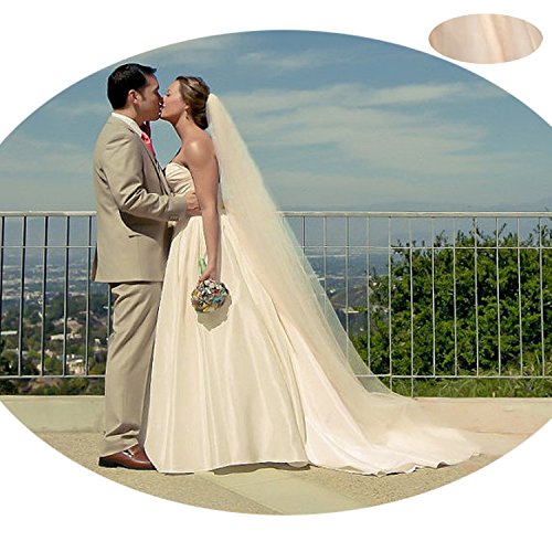 anmor 2T Tulle Sheer Long Wedding Bridal Veils 3M Cathedral Bridal Veil with Comb Champagne