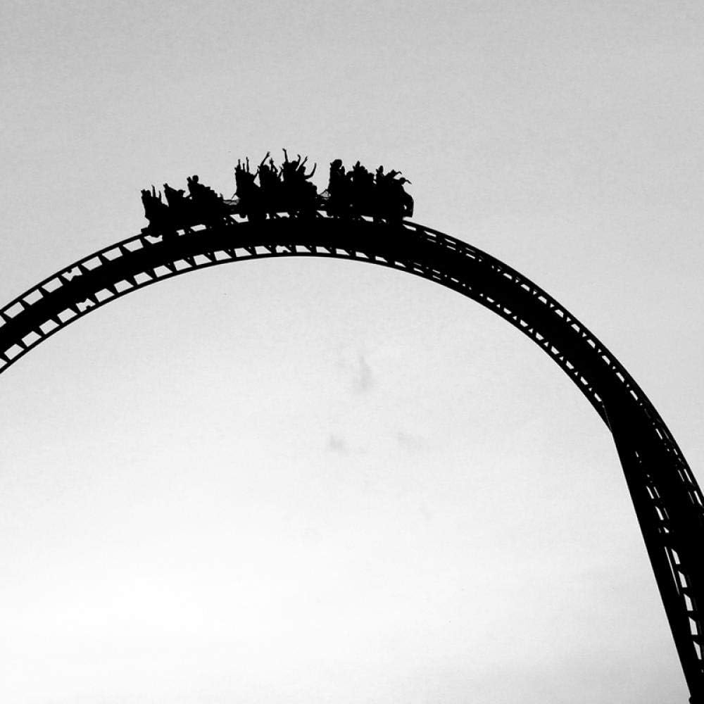 Amazon ジェットコースター白黒写真写真モダンミニマリストウォールアートキャンバス絵画プリント北欧ポスター装飾用ホーム 50x70cmフレームなし アートフレーム ポスター オンライン通販