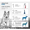 FRONTLINE-Spot-On-Flea-Tick-Treatment-for-Small-Dogs-2-10-kg-3-Pipettes FRONTLINE Spot On Flea & Tick Treatment for Small Dogs (2-10 kg) - 3 Pipettes