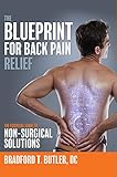 The Blueprint For Back Pain Relief: The Essential Guide To Non-Surgical Solutions by