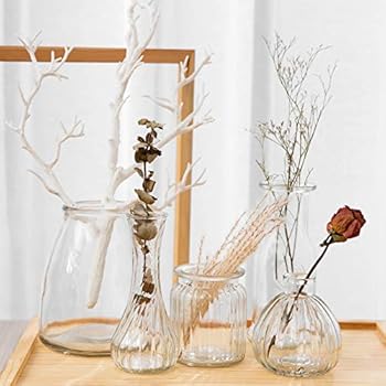 Amazon Com Anlin Rustic Small Glass Vase In Various Shapes Mini