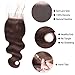 Aigemei Peruvian Virgin Hair 130% Density Body Wave Dark Brown 4x4 Free Part Lace Closure With Baby Hair(14 Inch,Dark Brown Color 2)