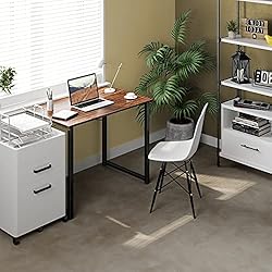 Coleshome 32 Inch Computer Desk, Modern Simple