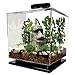 Tetra LED Cube Shaped 3 Gallon Aquarium with Pedestal Basethumb 1