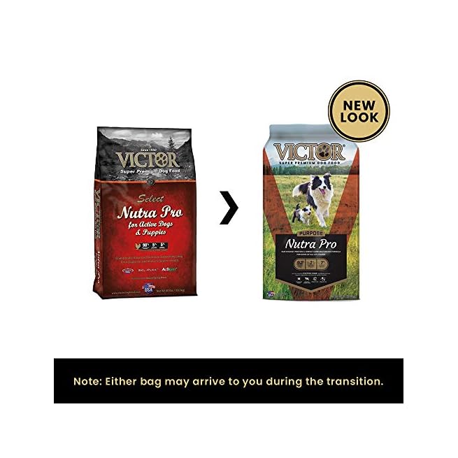 nutra pro dog food