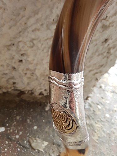 Shofar Yemenite Kudu Horn 24''+ with Sterling Silver Plated Lion of Judah + Menorah