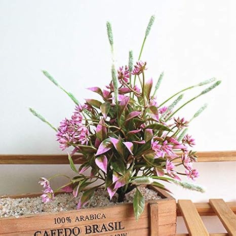 Amazon ミニ人工芝フェイク植物葉ガーデンホームストア春の装飾屋外盆栽花瓶なしピンク花瓶なしポット 花 観葉植物 フラワーギフト オンライン通販 Amazon ミニ人工芝フェイク植物葉ガーデンホームストア春の装飾屋外盆栽花瓶なしピンク花瓶なしポット 花 観葉植物 フラワーギフト オンライン通販