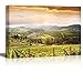 wall26 Canvas Print Wall Art Vineyard Landscape in Tuscany, Italy Nature Wilderness Photography Modern Art Rustic Scenic Colorful Multicolor for Living Room, Bedroom, Office - 24
