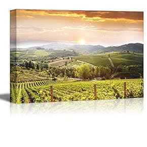 Vineyard Landscape in Tuscany Italy - Canvas Art Wall Art - 12" x 18"