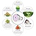 Create Bright Led Grow Light Bulb, 60W Plant Light Bulb Full Spectrum Led Grow Bulb E26 Grow Plant Light for Indoor Plants,Hydroponics Greenhouse Organic,Pack of 4